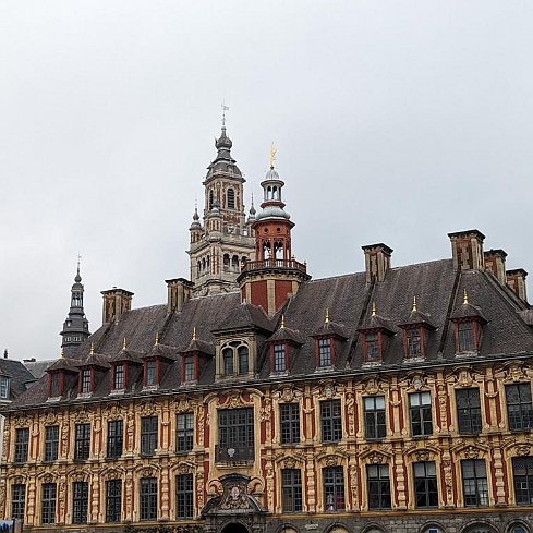 PXL_20231202_135326686 Lille