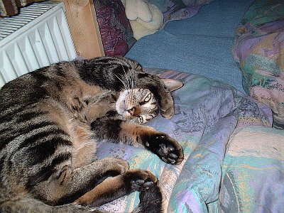 2002_0505_064022AA~1