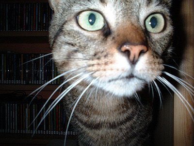 Grillabend im Juni 013