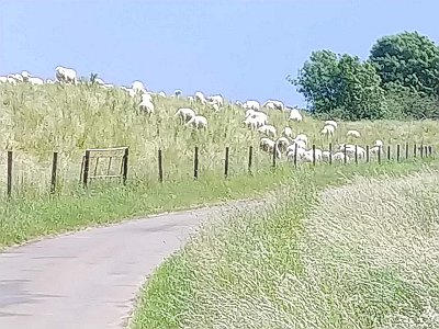 01. Bremen-Nienburg_4