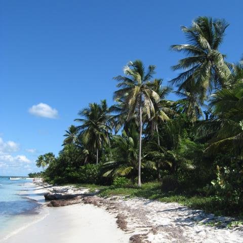 Strand - Insel Saona 9