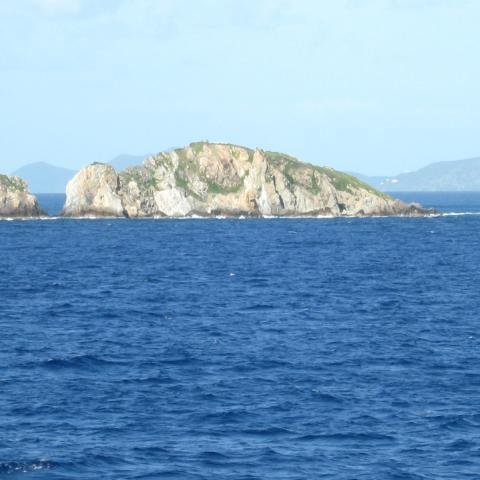 Insel Tortula 4