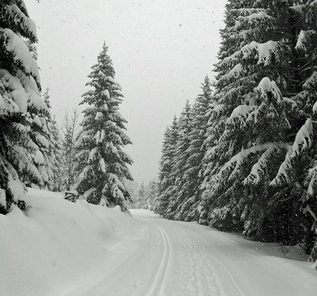 Winter im Harz 2010