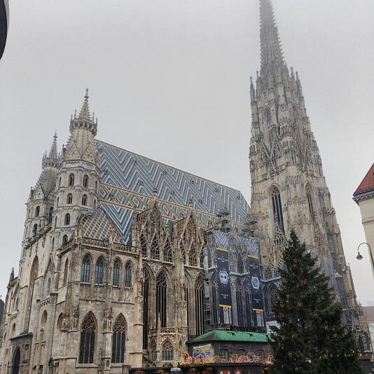 IMG_20181122_114536_HDR