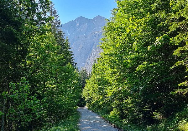 Wanderung zur Karwendel Seilbahn-Bergstation Wanderung zur Karwendelbahn Bergstation (2300 Meter)