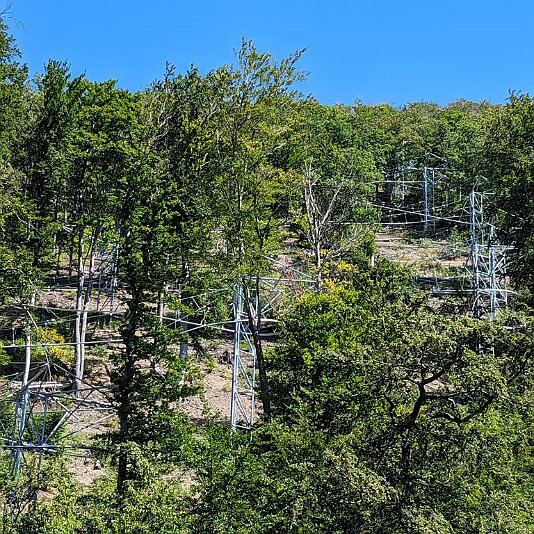 PXL_20230811_104445193