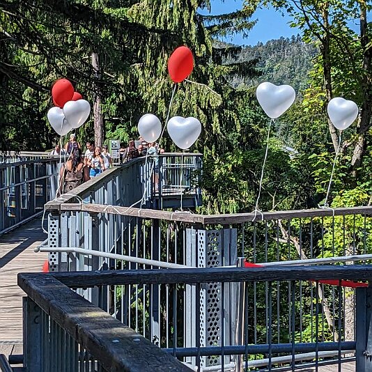 PXL_20230811_104735510