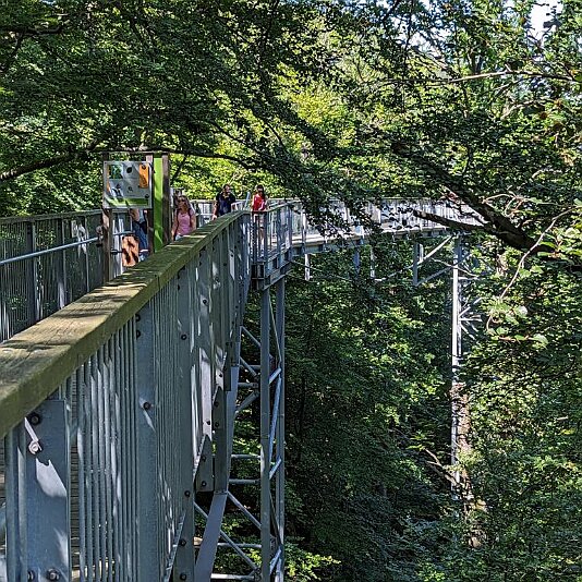 PXL_20230811_105310571