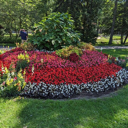 PXL_20230811_113511369