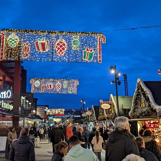 PXL_20231120_160624196