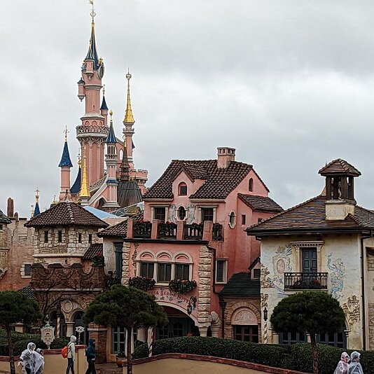 PXL_20231205_103540071