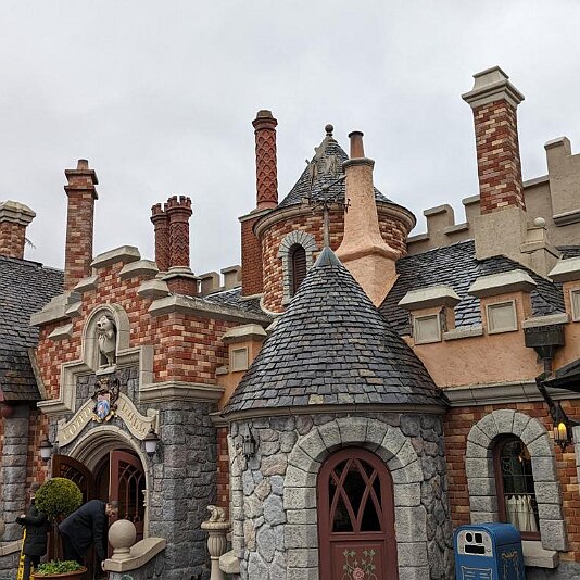 PXL_20231205_113111510