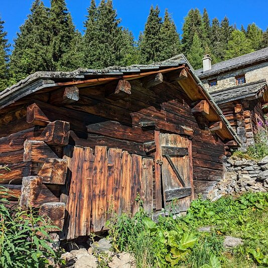 PXL_20240810_073745126