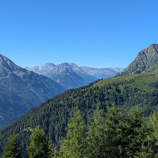 PXL_20240810_083410267