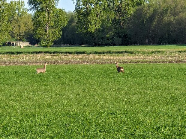 Fahrradtour nach Berlin 2024