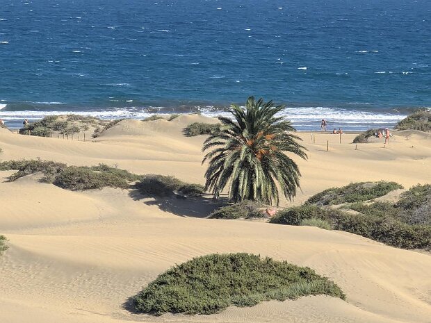 Mein Schiff 6 - Afrika 2024