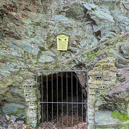 K1600_PXL_20250531_080924718