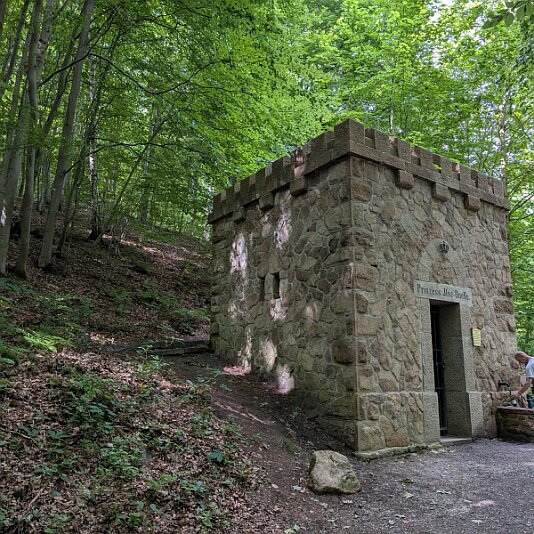 K1600_PXL_20250531_081457179