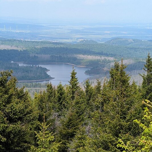 K1600_PXL_20250531_104315438