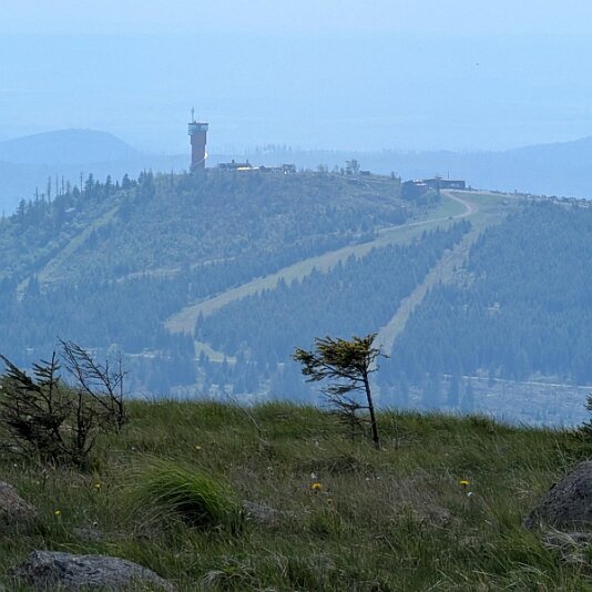 K1600_PXL_20250531_113133958