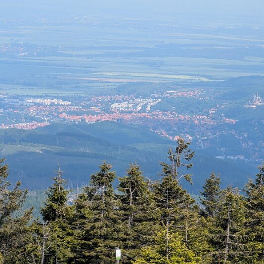 K1600_PXL_20250531_115457796