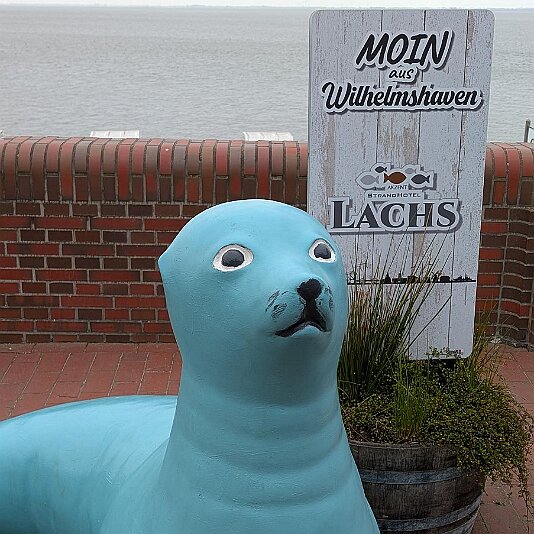 K1600_PXL_20250516_095557805