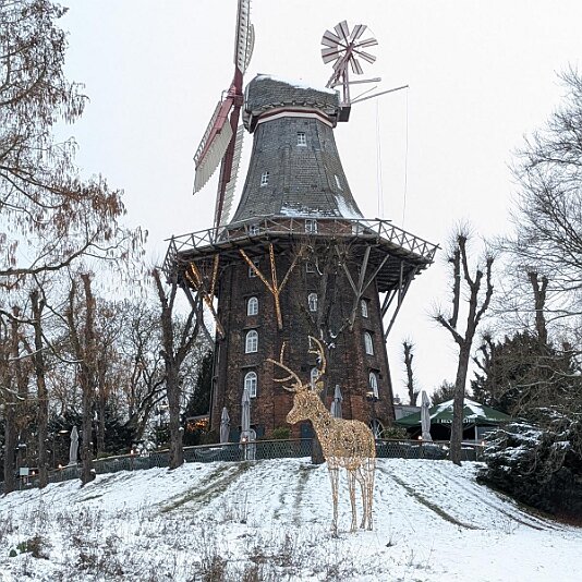 PXL_20260105_134455177