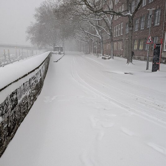 PXL_20260109_080949387