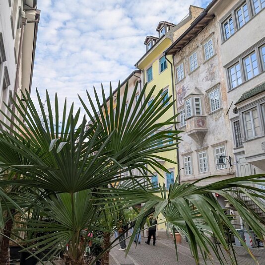 PXL_20251211_140440074