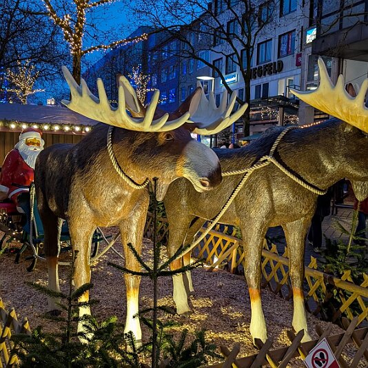 PXL_20251221_153053456