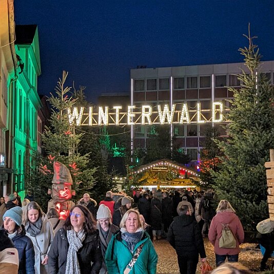 K1600_PXL_20251129_160143676