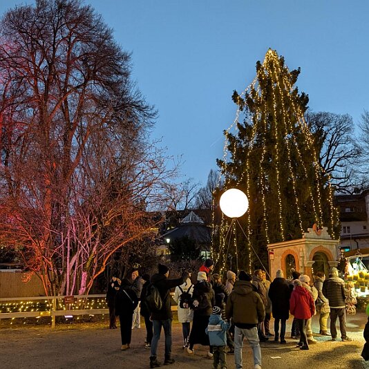 PXL_20251213_155239024