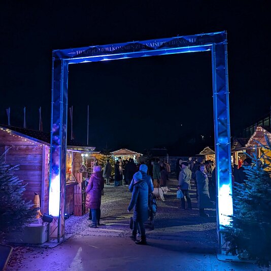 PXL_20251212_162430217