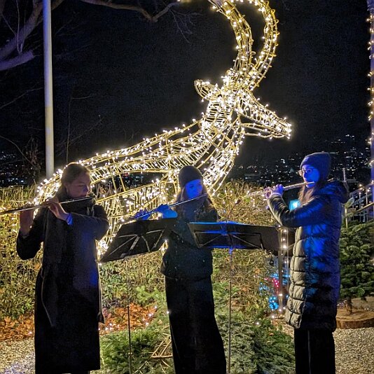 PXL_20251212_164445268