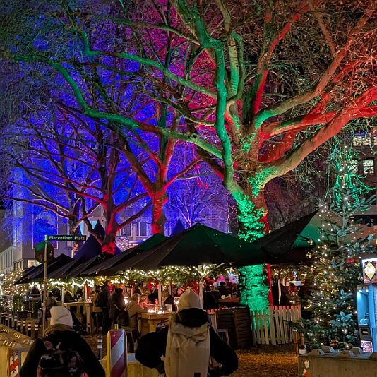 PXL_20251127_165225473