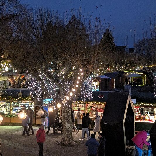 PXL_20251209_160428452