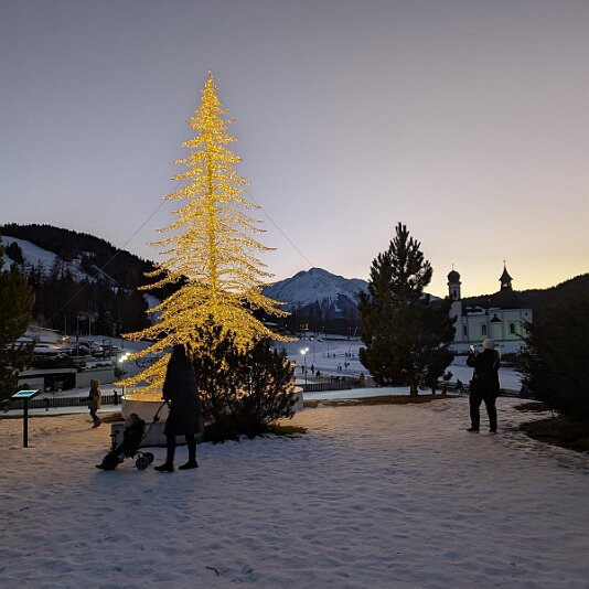 PXL_20251214_154542050