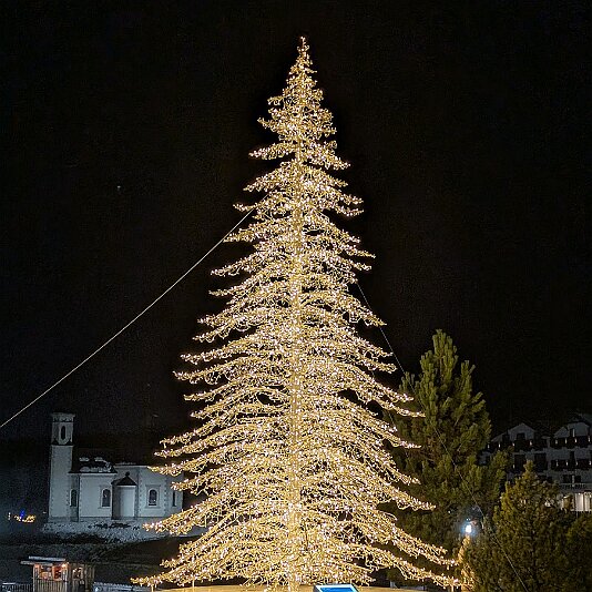 PXL_20251214_164126239