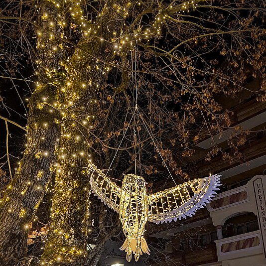 PXL_20251214_170752266