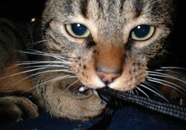 In Erinnerung an Lukas