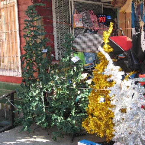 WeihnachtsbÃ¤ume in allen Farben ..