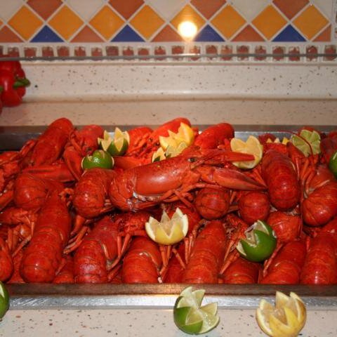 Humma Humma Humma TÃ¤terÃ¤