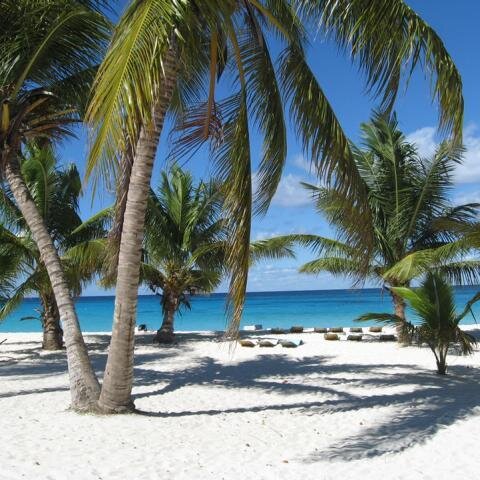Strand - Insel Saona 1