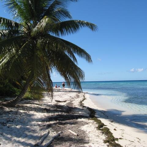 Strand - Insel Saona 11