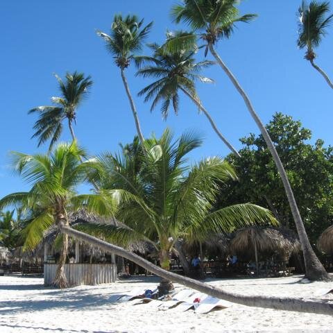 Strand - Insel Saona 2