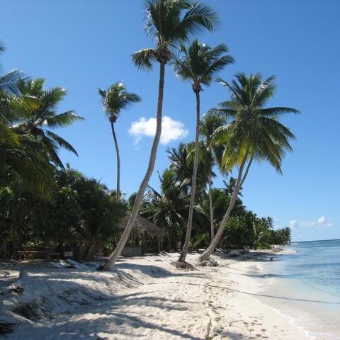 Strand - Insel Saona 7