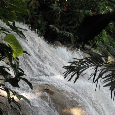Dunn Hills Falls (Wasserfall) 6