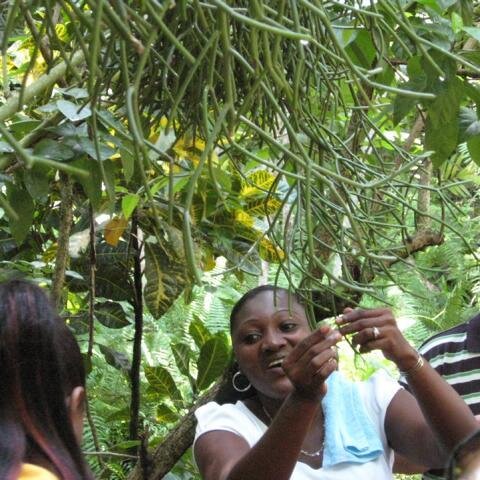 FÃ¼hrerin durch den Botanischen Garten