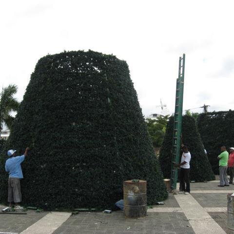 Weihnachtsbaum wird zusammengbaut