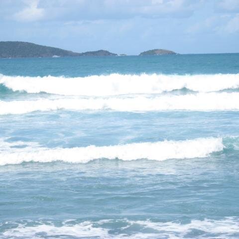 SchÃ¶ne Brandung (Tortula)